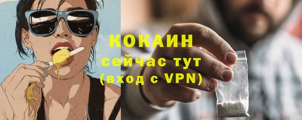 дмт Нея