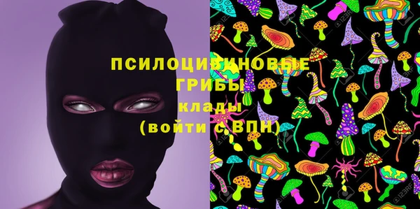 амф Надым