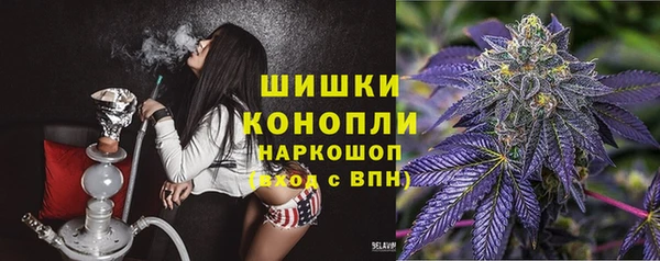амф Надым