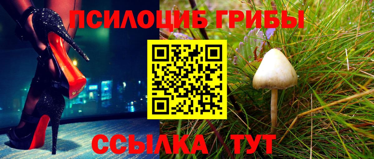 Псилоцибиновые грибы Cubensis Челябинск