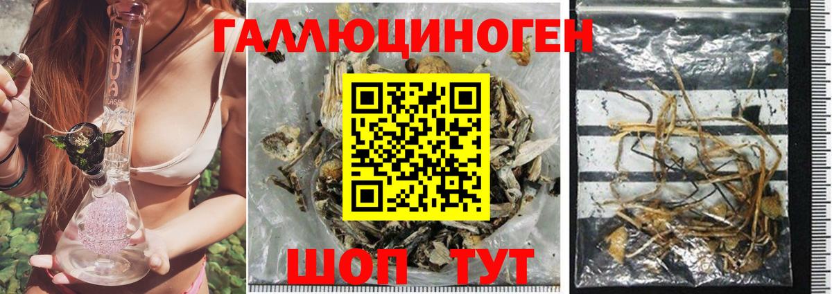 Псилоцибиновые грибы ЛСД Челябинск