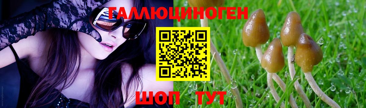 Челябинск  Галлюциногенные грибы Psilocybine cubensis  Вход с VPN 